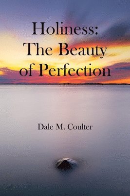 Dale M Coulter, Dale M. Coulter, M. Coulter, Dale - Holiness, Häftad