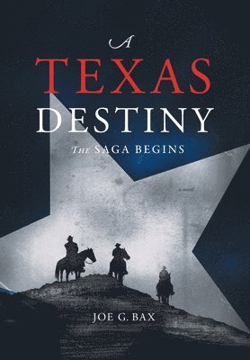 bokomslag A Texas Destiny