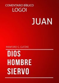 bokomslag Juan - Comentarios LOGOI