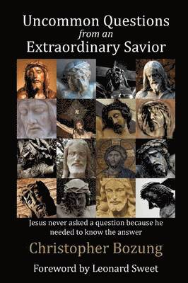 bokomslag Uncommon Questions from an Extraordinary Savior