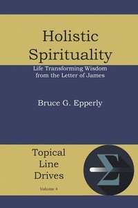 bokomslag Holistic Spirituality