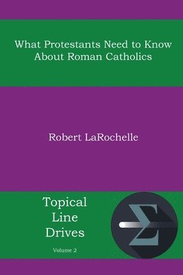 bokomslag What Protestants Need to Know about Roman Catholics
