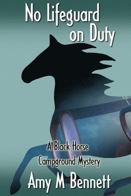 No Lifeguard on Duty