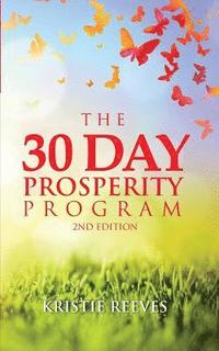 bokomslag The 30 Day Prosperity Program