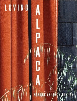 bokomslag Loving Alpaca