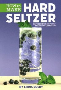 bokomslag How to Make Hard Seltzer