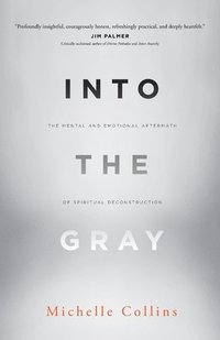 bokomslag Into the Gray