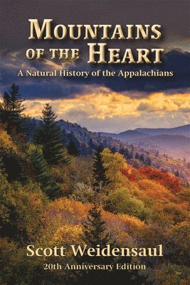 Mountains of the Heart 1