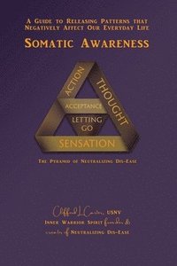 bokomslag Somatic Awareness