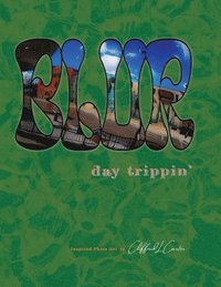 bokomslag Blur: day trippin'