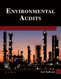 bokomslag Environmental Audits