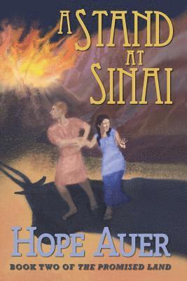 bokomslag A Stand at Sinai