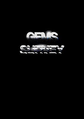 bokomslag Andro Wekua: Gems Survey