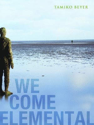 We Come Elemental
