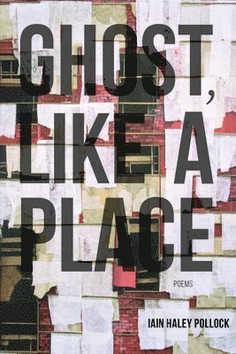 Iain Haley Pollock - Ghost, Like a Place, Häftad