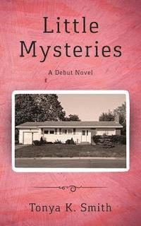 bokomslag Little Mysteries: A Debut Novel