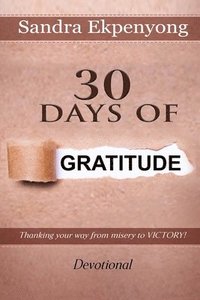 bokomslag 30 Days of Gratitude