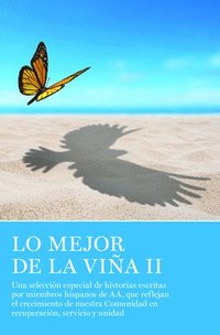 bokomslag Lo Mejor de La Via II