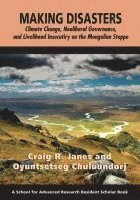 Craig R. Janes, Oyuntsetseg Chuluundorj - Making Disasters, Häftad