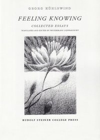 bokomslag Feeling Knowing: Collected Essays