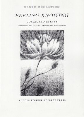 bokomslag Feeling Knowing: Collected Essays