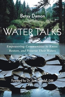 Betsy Damon - Water Talks, Häftad
