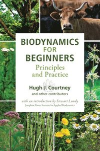 bokomslag Biodynamics for Beginners: Principles and Practice
