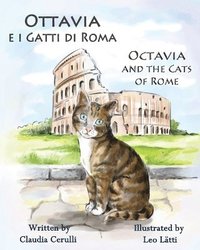 bokomslag Ottavia E I Gatti Di Roma - Octavia and the Cats of Rome