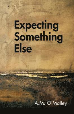 A. M. O'Malley, A M O'Malley - Expecting Something Else, Häftad