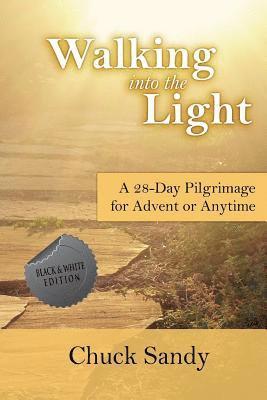 Chuck Sandy - Walking into the Light, Häftad