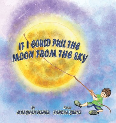 Meaghan Fisher - If I Could Pull the Moon from the Sky, Häftad
