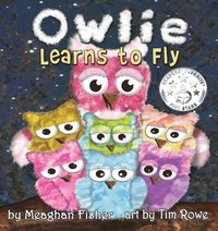 bokomslag Owlie Learns to Fly