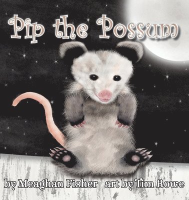 bokomslag Pip the Possum