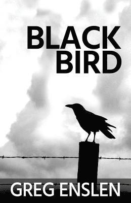 Black Bird 1