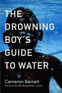 bokomslag The Drowning Boy's Guide to Water