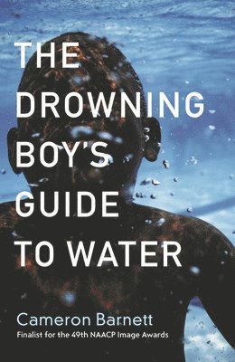 bokomslag The Drowning Boy's Guide to Water