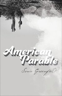 bokomslag American Parable