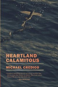bokomslag Heartland Calamitous