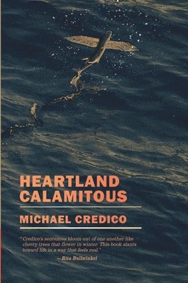 bokomslag Heartland Calamitous