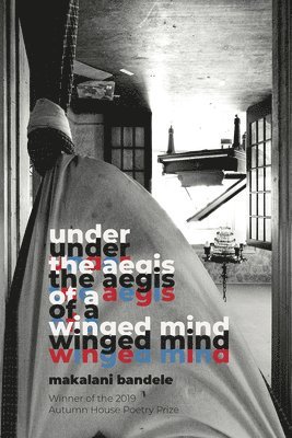 under the aegis of a winged mind 1