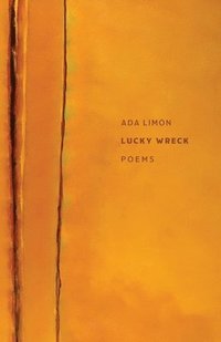 bokomslag Lucky Wreck  Poems