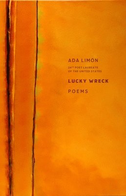 bokomslag Lucky Wreck  Poems