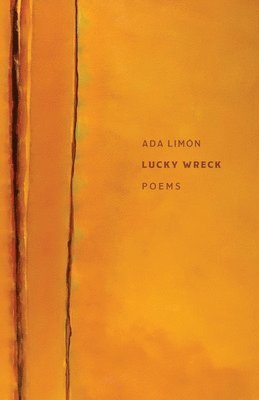 Lucky Wreck  Poems 1