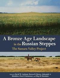bokomslag A Bronze Age Landscape in the Russian Steppes