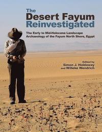 bokomslag The Desert Fayum Reinvestigated