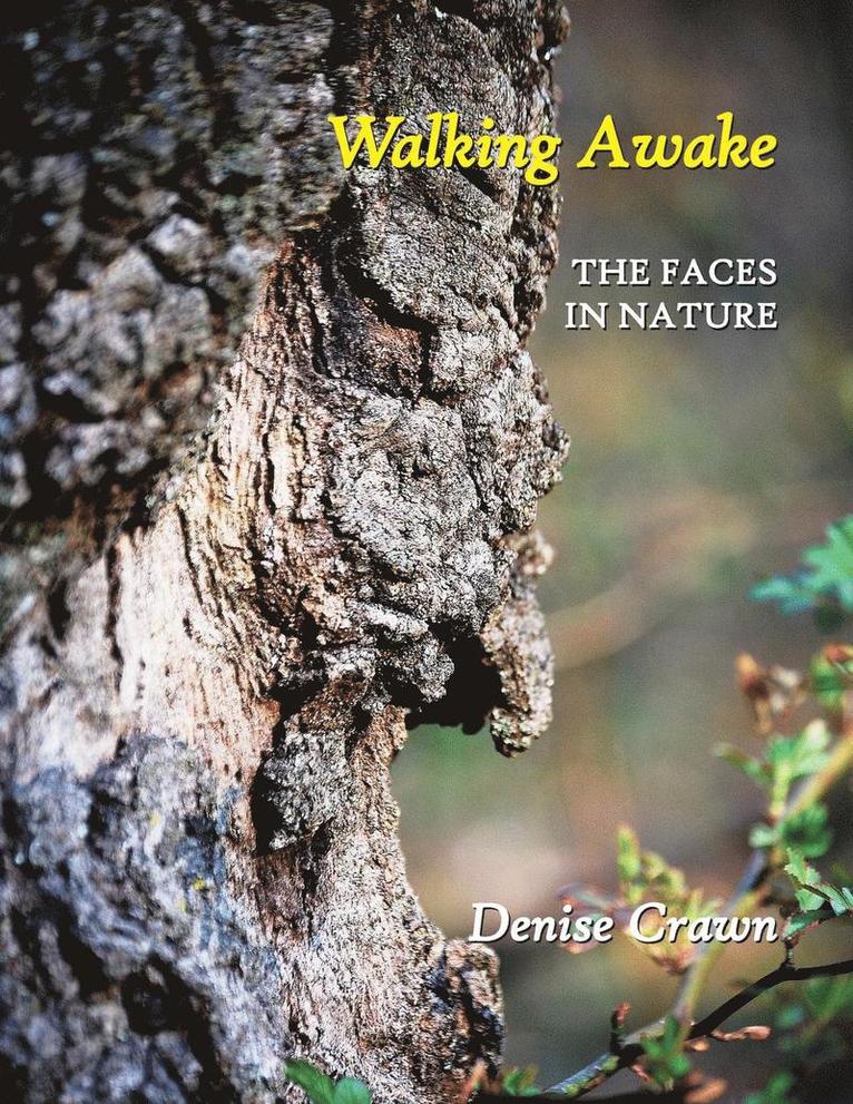 Walking Awake 1