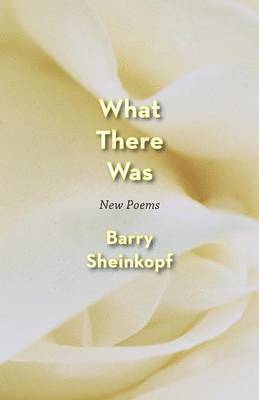 Barry Sheinkopf - What There Was, Häftad