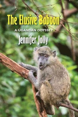 Jennifer Jolly - Elusive Baboon, Häftad