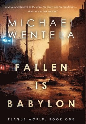 bokomslag Fallen Is Babylon