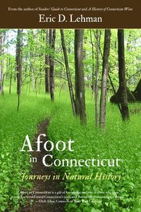 bokomslag Afoot in Connecticut